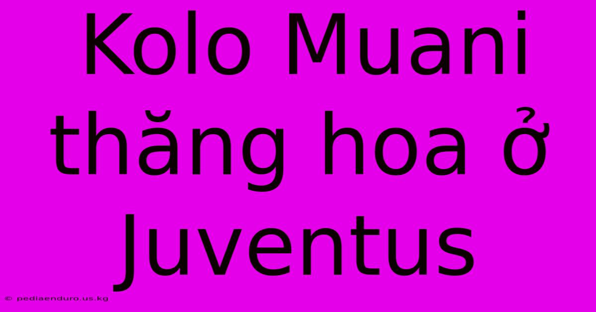 Kolo Muani Thăng Hoa Ở Juventus