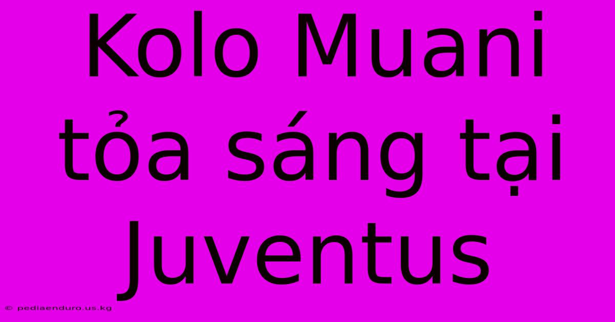 Kolo Muani Tỏa Sáng Tại Juventus