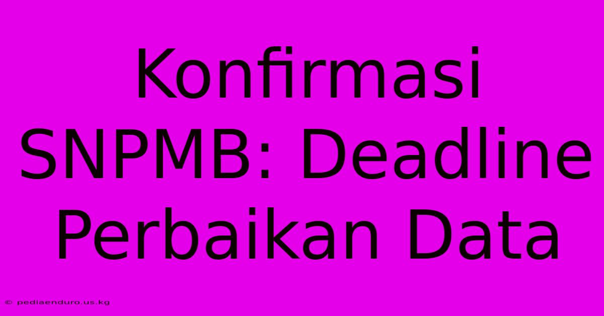 Konfirmasi SNPMB: Deadline Perbaikan Data