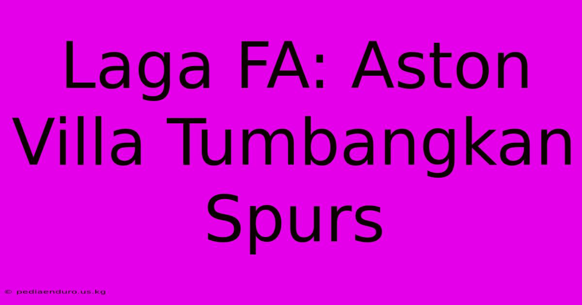 Laga FA: Aston Villa Tumbangkan Spurs