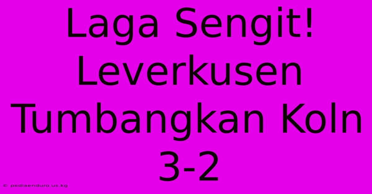 Laga Sengit! Leverkusen Tumbangkan Koln 3-2