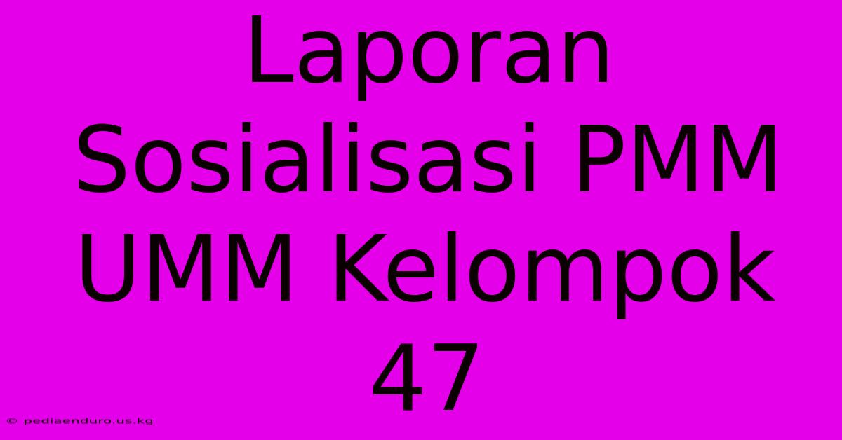 Laporan Sosialisasi PMM UMM Kelompok 47