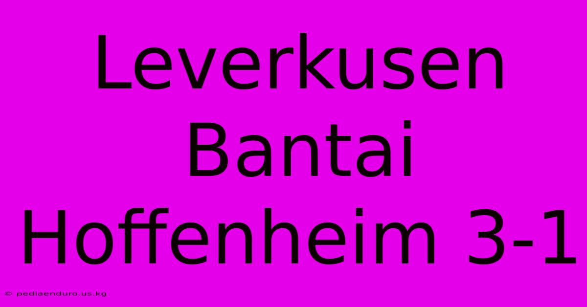 Leverkusen Bantai Hoffenheim 3-1