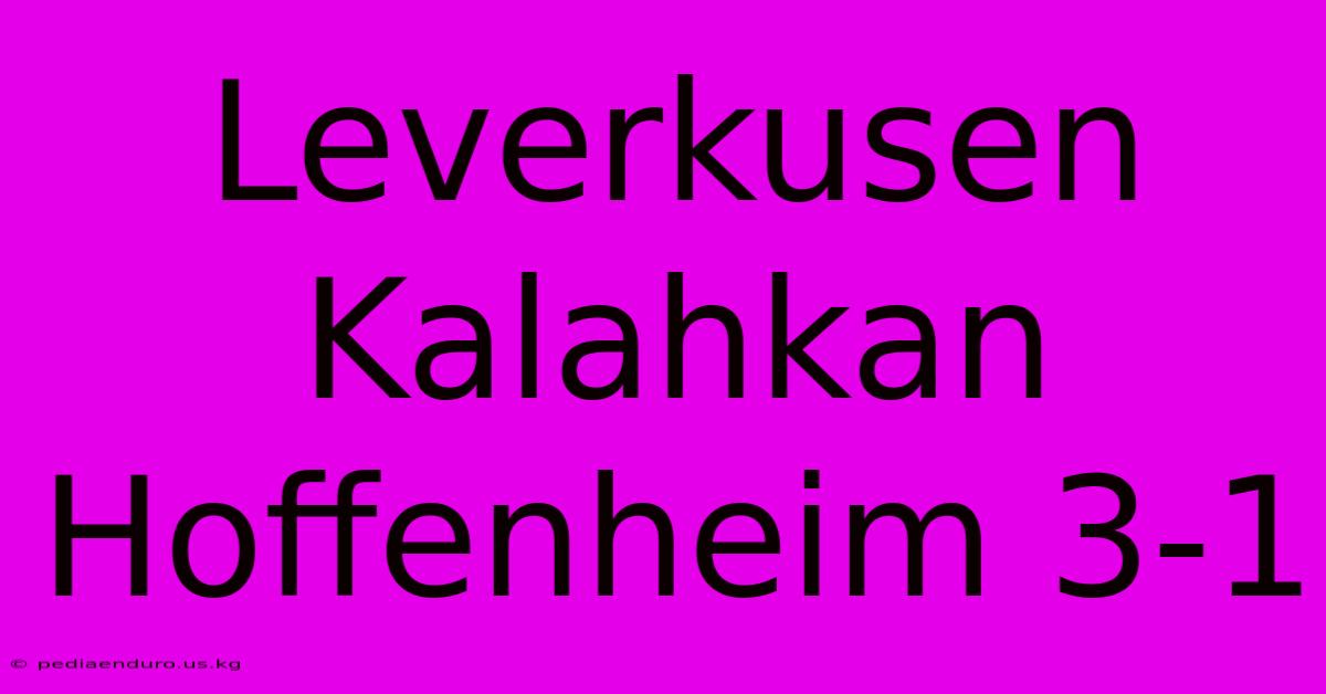 Leverkusen Kalahkan Hoffenheim 3-1