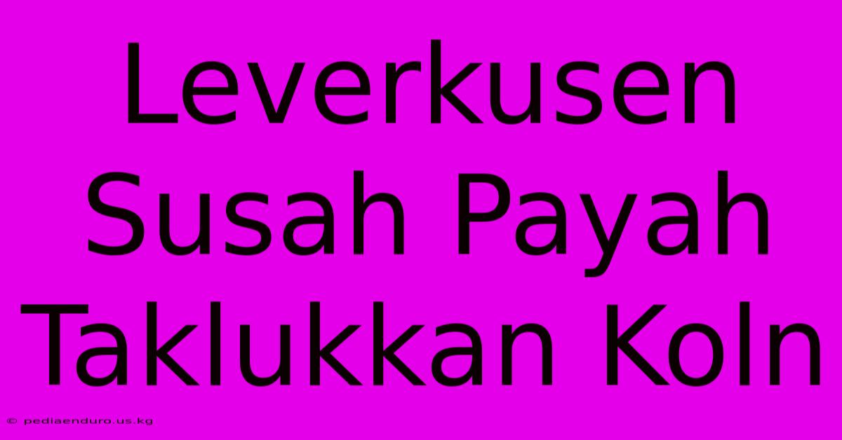 Leverkusen Susah Payah Taklukkan Koln