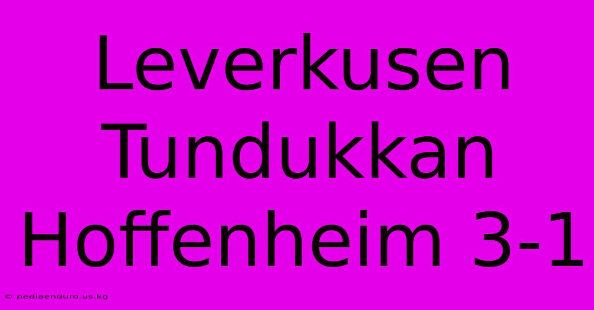 Leverkusen Tundukkan Hoffenheim 3-1