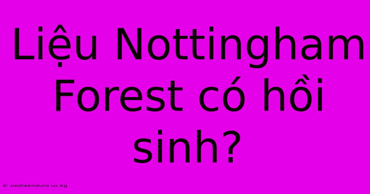 Liệu Nottingham Forest Có Hồi Sinh?