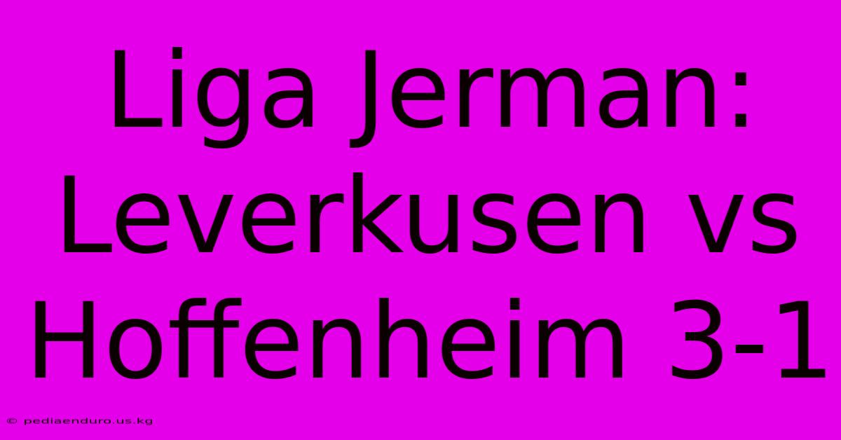 Liga Jerman: Leverkusen Vs Hoffenheim 3-1