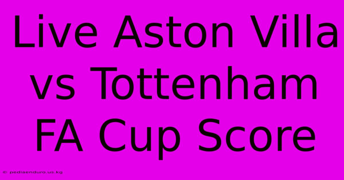 Live Aston Villa Vs Tottenham FA Cup Score