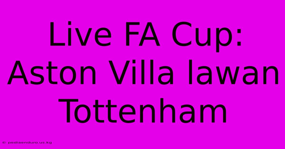 Live FA Cup: Aston Villa Lawan Tottenham