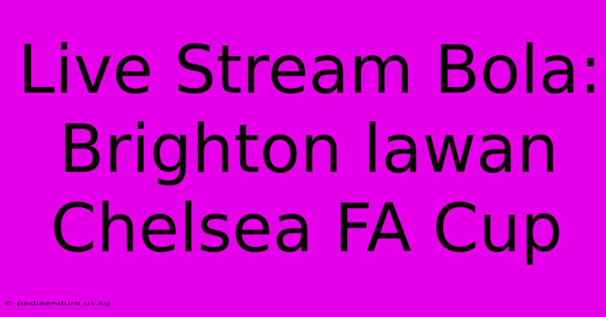 Live Stream Bola: Brighton Lawan Chelsea FA Cup