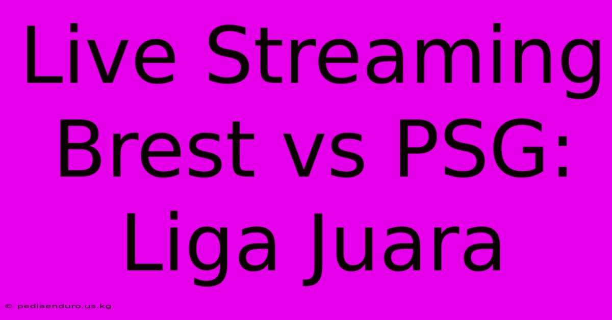 Live Streaming Brest Vs PSG: Liga Juara