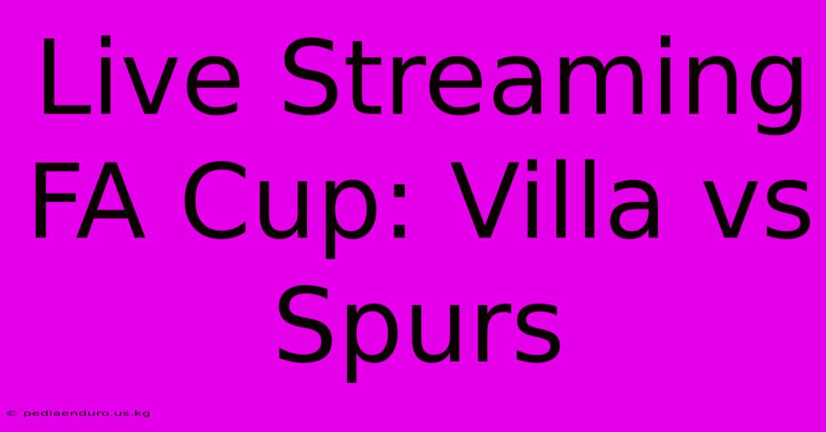 Live Streaming FA Cup: Villa Vs Spurs