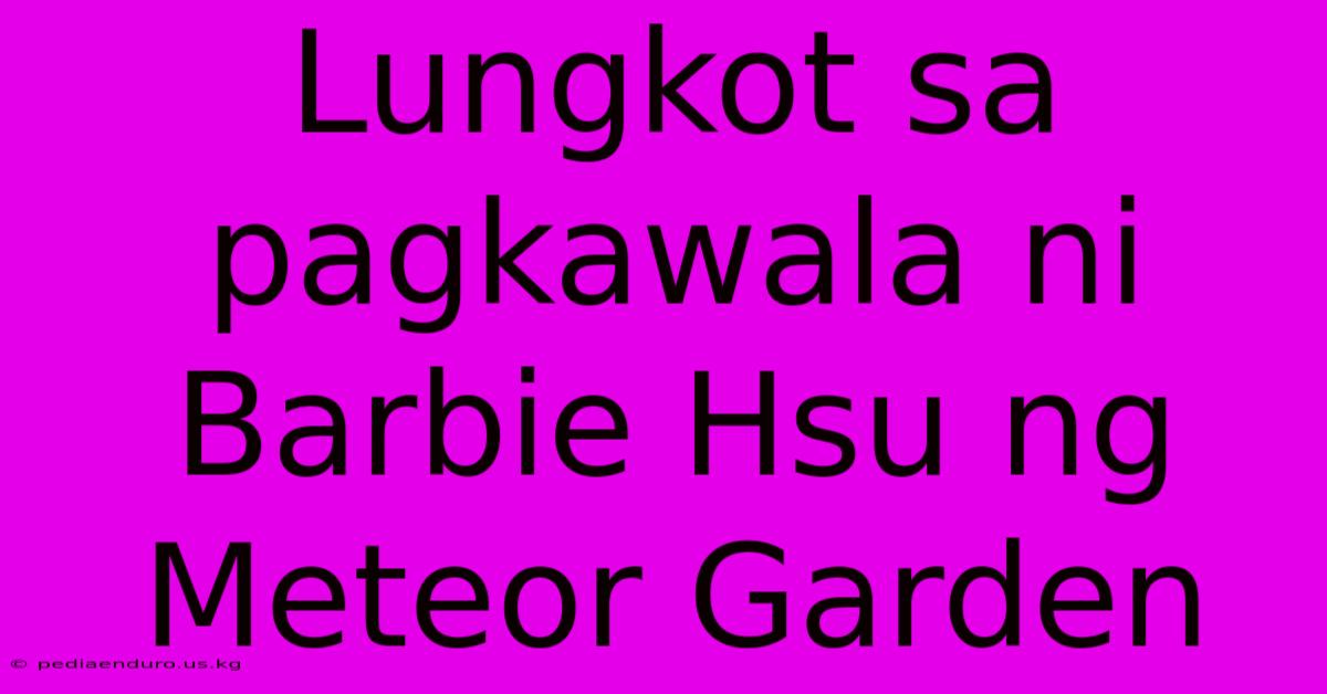 Lungkot Sa Pagkawala Ni Barbie Hsu Ng Meteor Garden