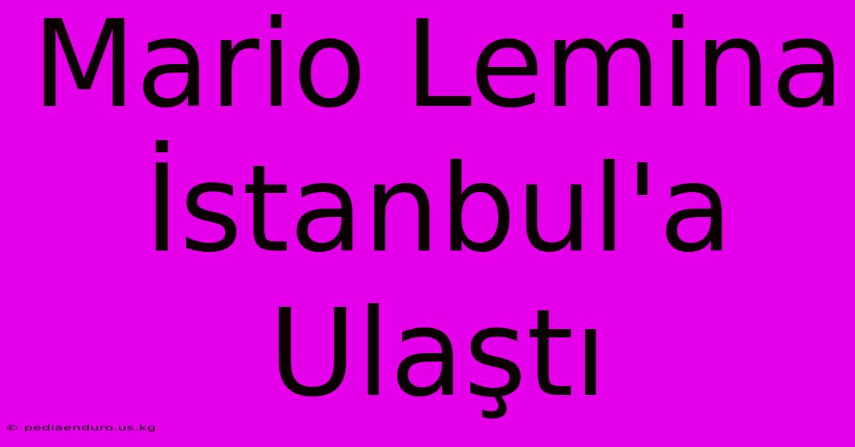 Mario Lemina İstanbul'a Ulaştı