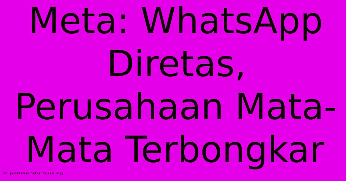 Meta: WhatsApp Diretas, Perusahaan Mata-Mata Terbongkar