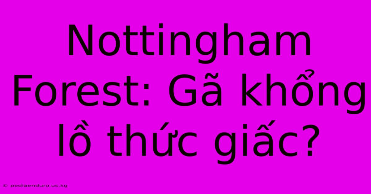 Nottingham Forest: Gã Khổng Lồ Thức Giấc?