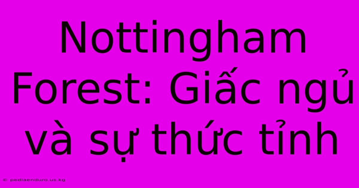 Nottingham Forest: Giấc Ngủ Và Sự Thức Tỉnh