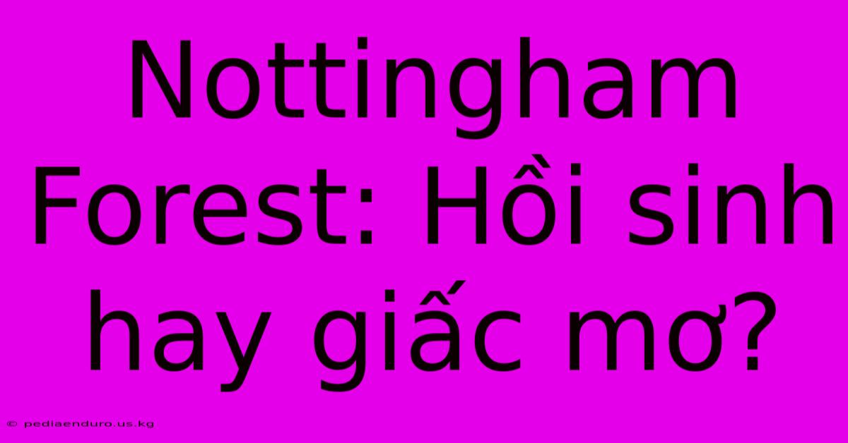 Nottingham Forest: Hồi Sinh Hay Giấc Mơ?