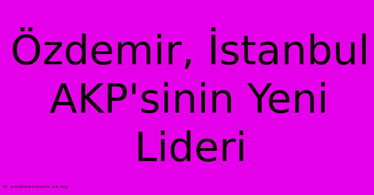 Özdemir, İstanbul AKP'sinin Yeni Lideri