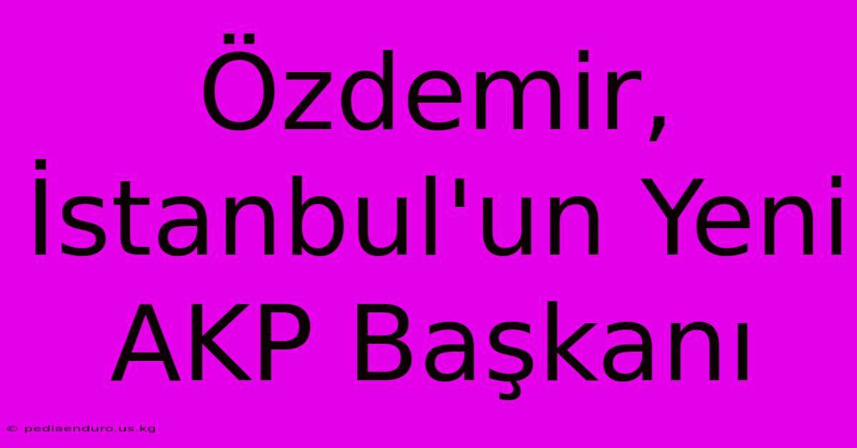 Özdemir, İstanbul'un Yeni AKP Başkanı