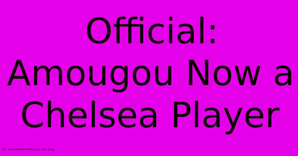 Official: Amougou Now A Chelsea Player