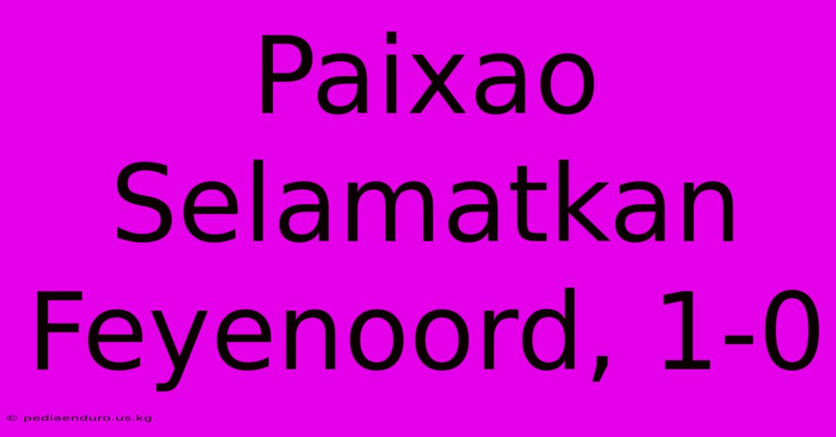 Paixao Selamatkan Feyenoord, 1-0