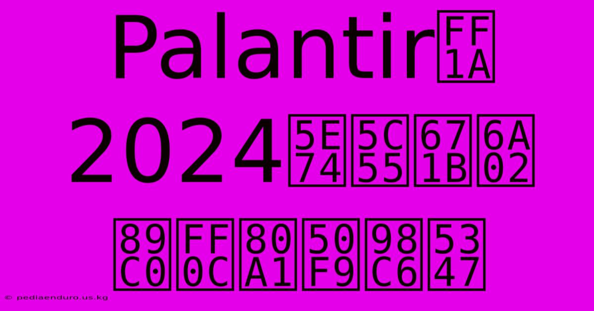 Palantir：2024年展望樂觀，股價飆升