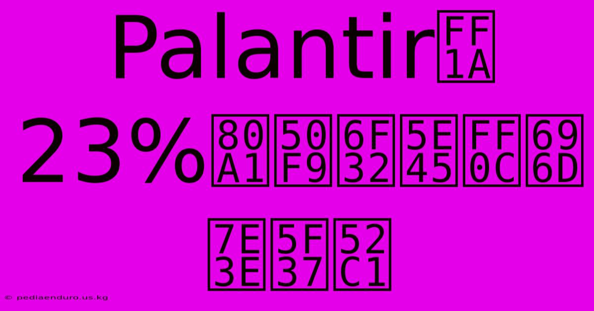 Palantir季報亮眼：股價大漲23%