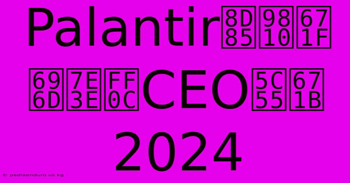 Palantir超預期業績，CEO展望2024