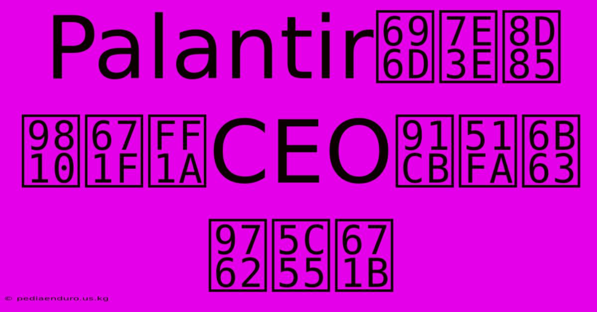 Palantir業績超預期：CEO釋出正面展望