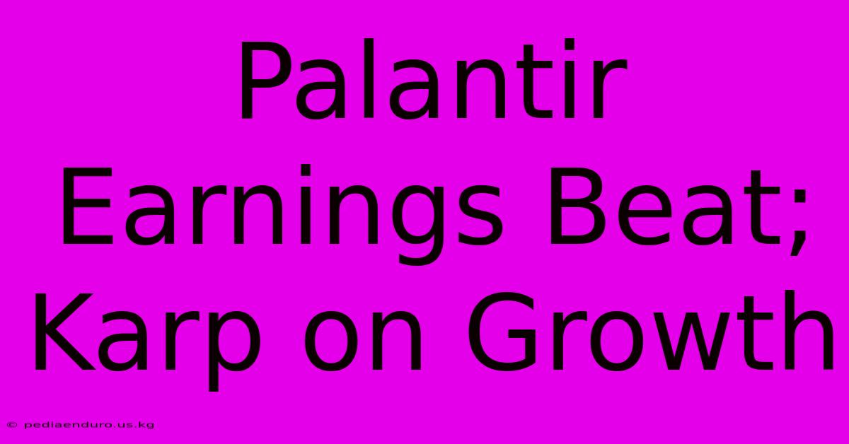 Palantir Earnings Beat; Karp On Growth