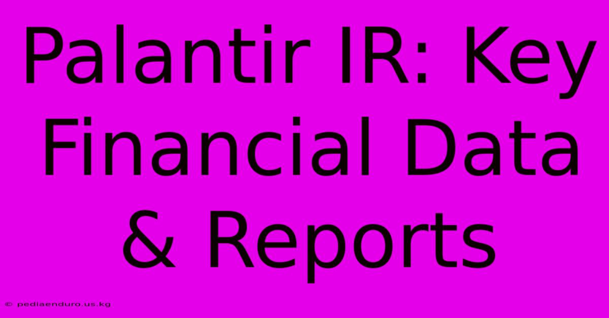 Palantir IR: Key Financial Data & Reports