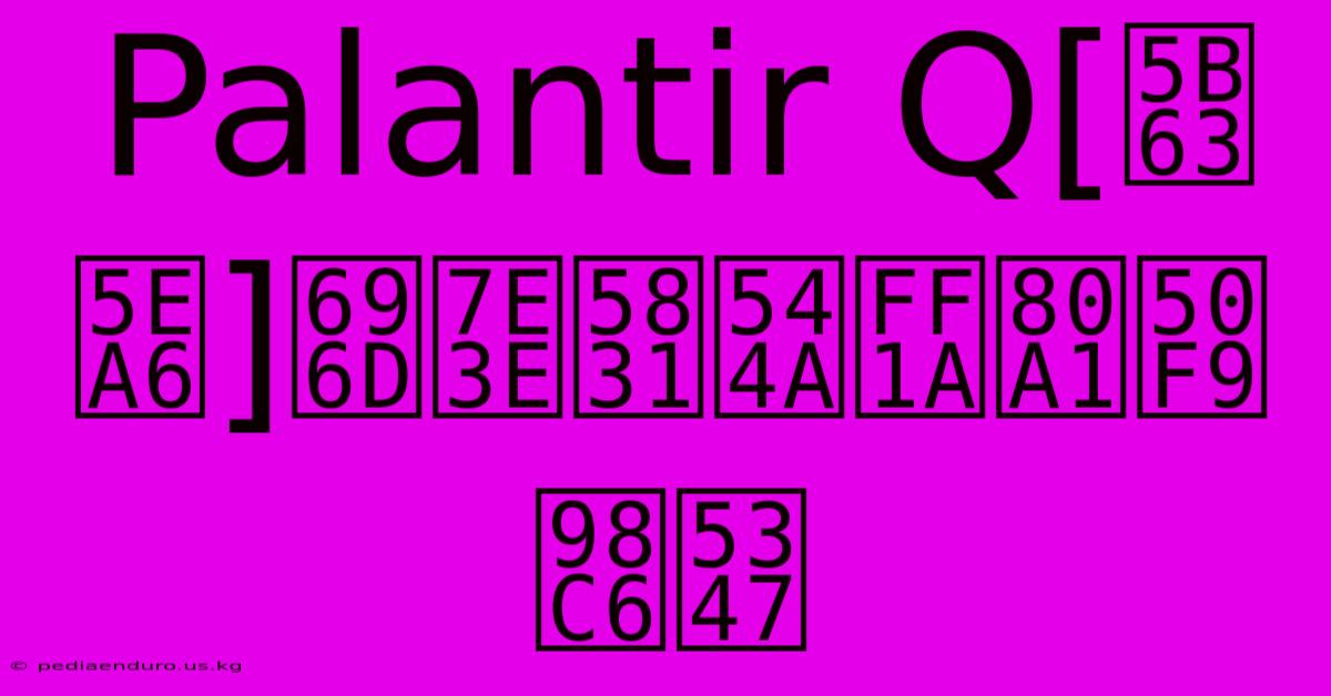 Palantir Q[季度]業績報告：股價飆升