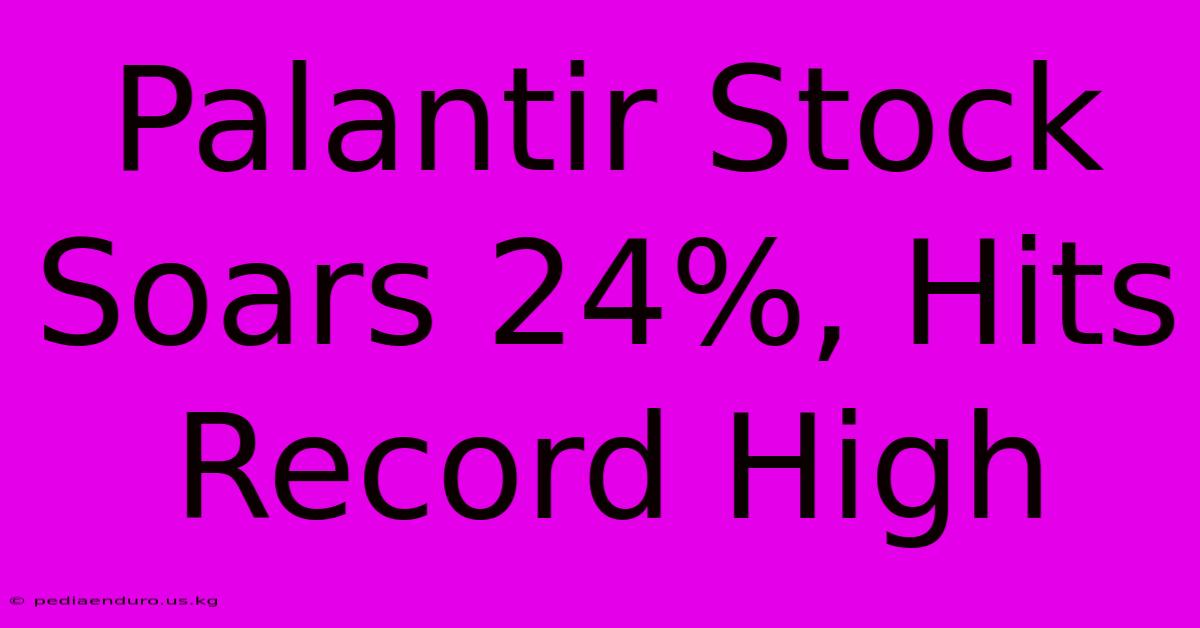 Palantir Stock Soars 24%, Hits Record High