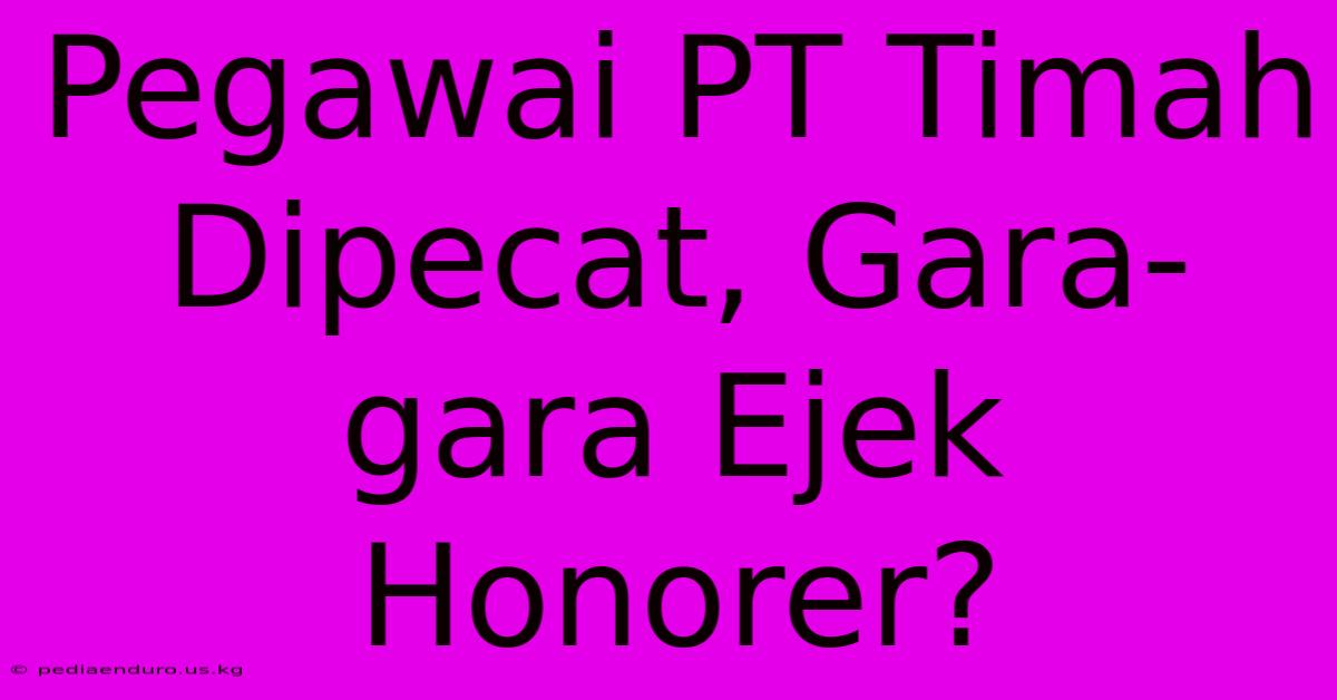 Pegawai PT Timah Dipecat, Gara-gara Ejek Honorer?