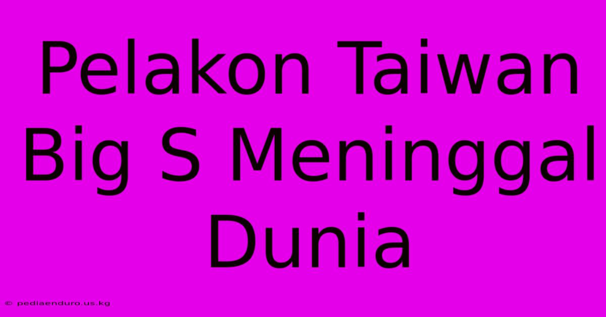 Pelakon Taiwan Big S Meninggal Dunia