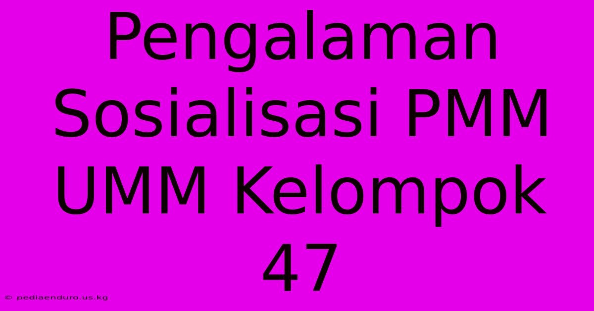 Pengalaman Sosialisasi PMM UMM Kelompok 47