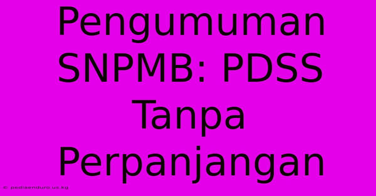 Pengumuman SNPMB: PDSS Tanpa Perpanjangan