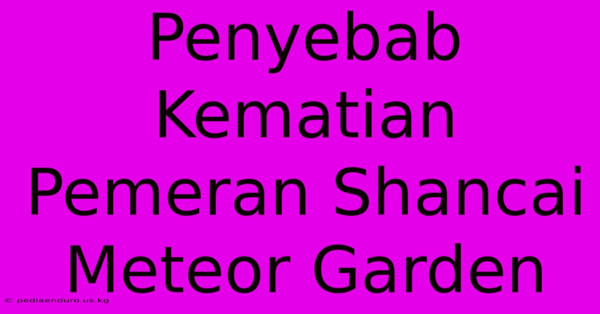 Penyebab Kematian Pemeran Shancai Meteor Garden