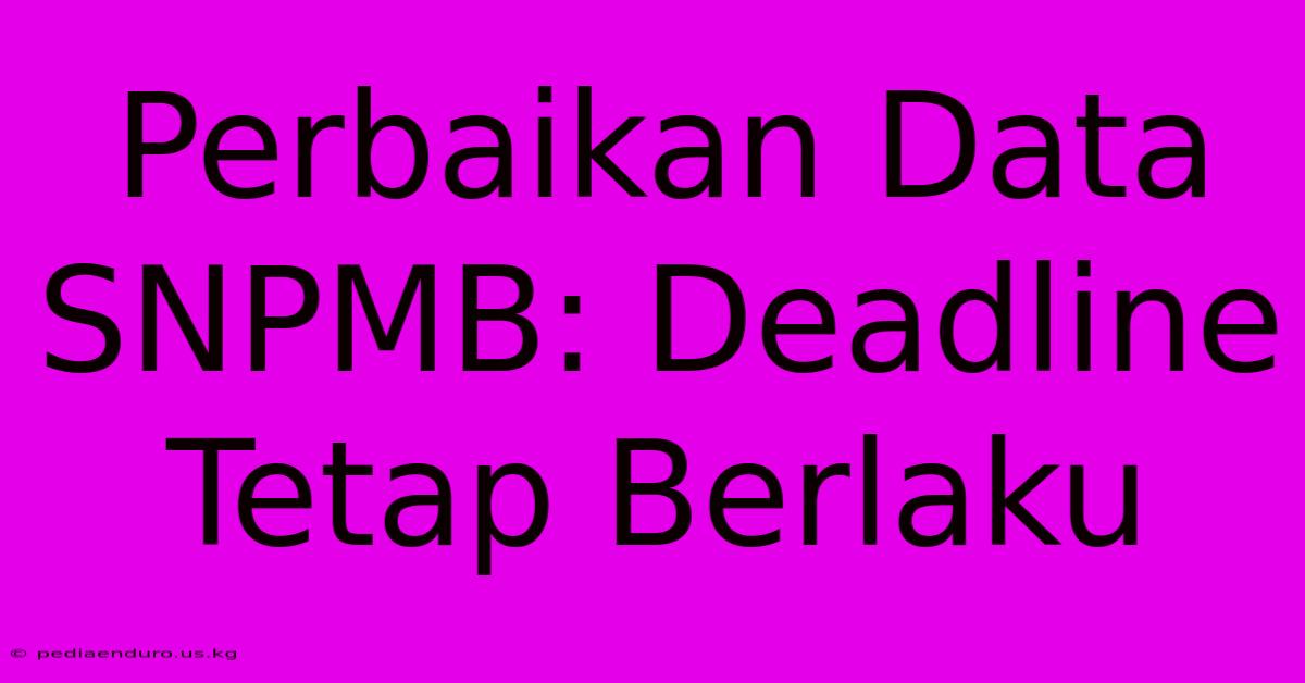 Perbaikan Data SNPMB: Deadline Tetap Berlaku