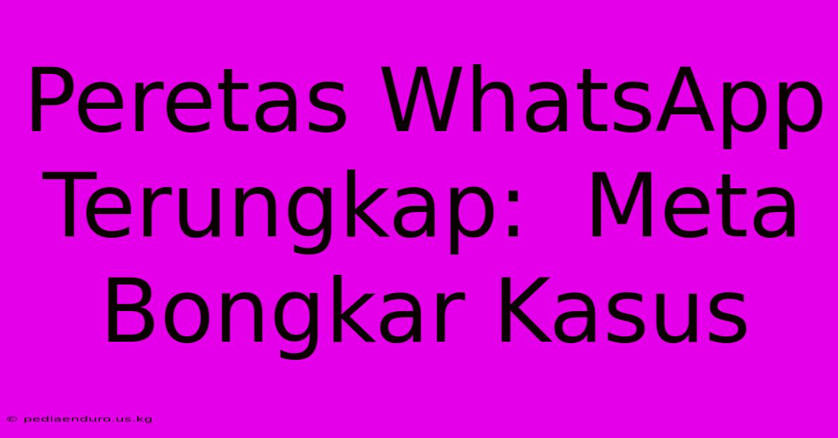 Peretas WhatsApp Terungkap:  Meta Bongkar Kasus