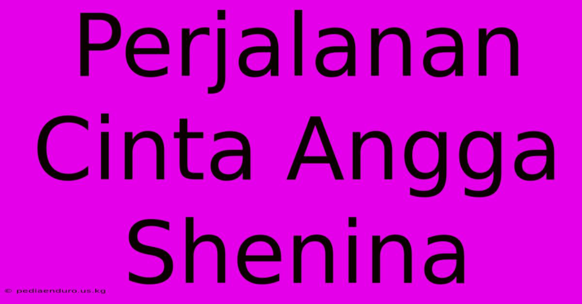 Perjalanan Cinta Angga Shenina