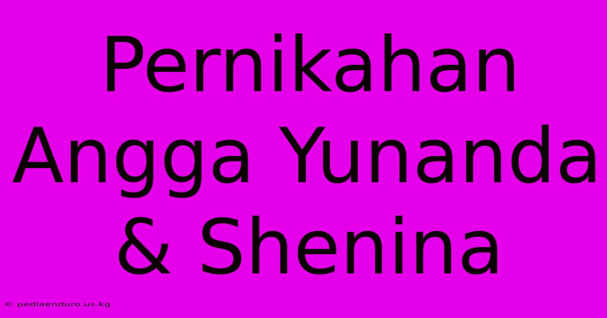 Pernikahan Angga Yunanda & Shenina