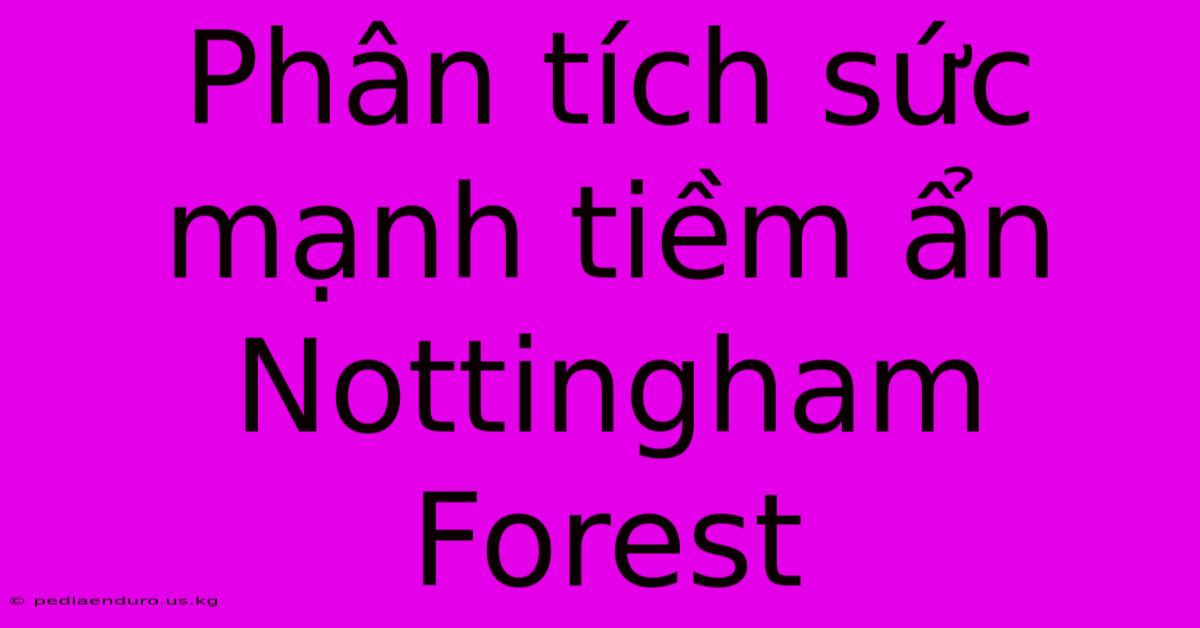 Phân Tích Sức Mạnh Tiềm Ẩn Nottingham Forest