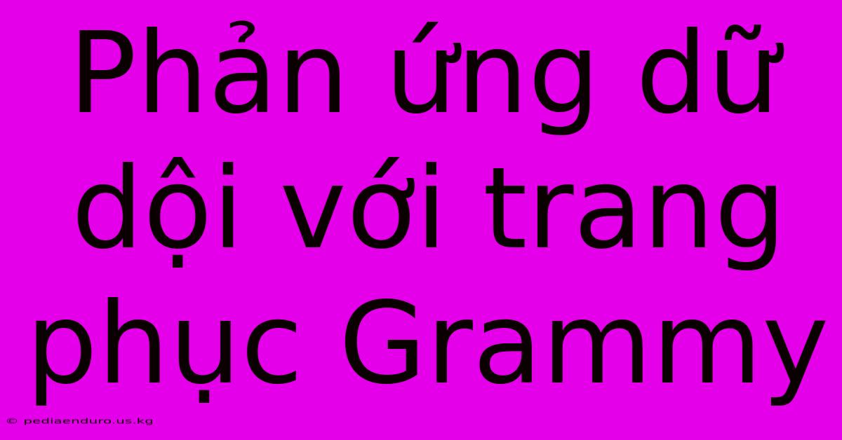 Phản Ứng Dữ Dội Với Trang Phục Grammy