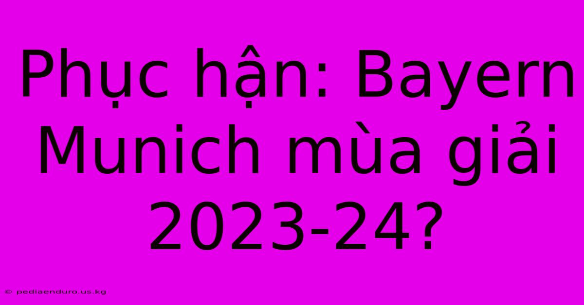 Phục Hận: Bayern Munich Mùa Giải 2023-24?