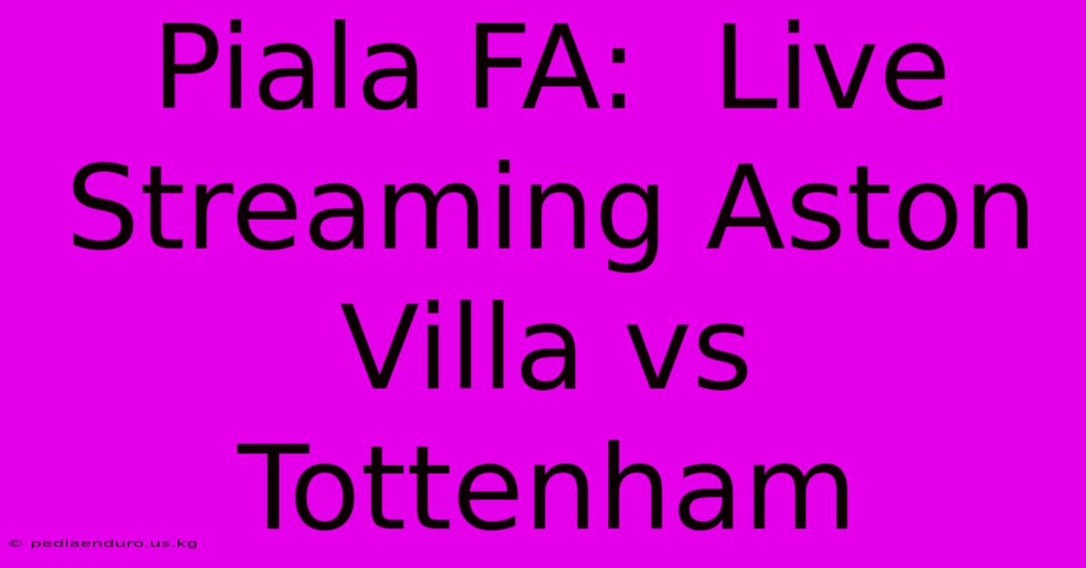 Piala FA:  Live Streaming Aston Villa Vs Tottenham