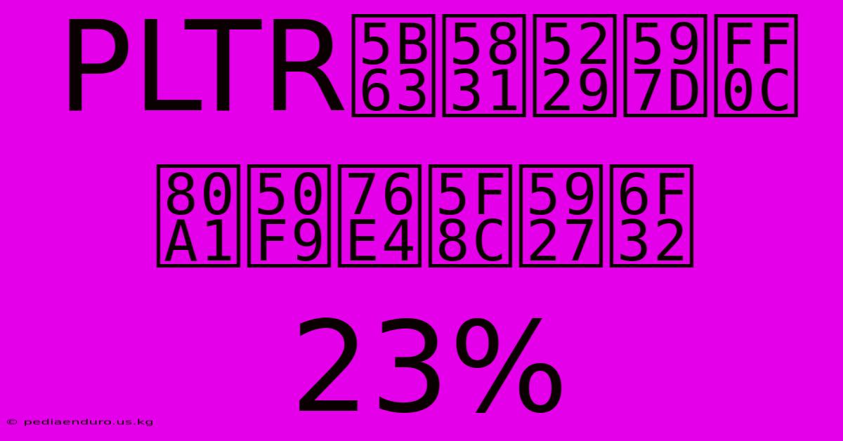 PLTR股價大漲23%：季績亮麗