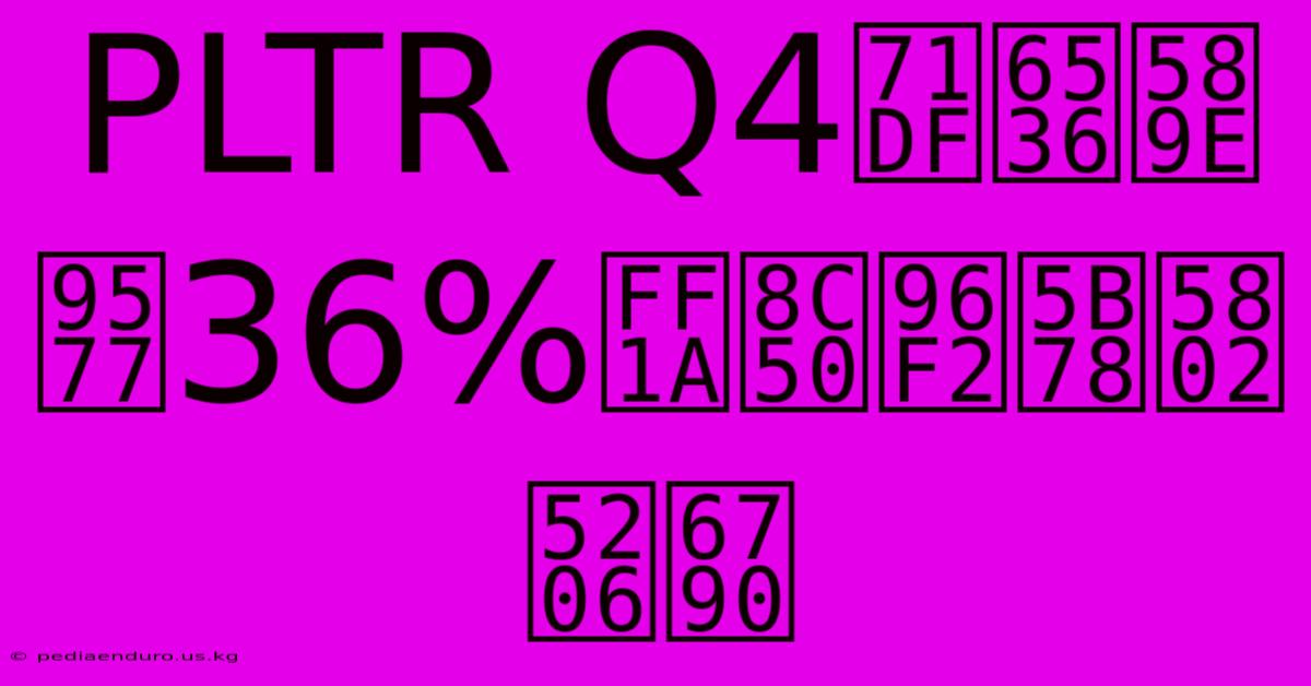 PLTR Q4營收增長36%：豐雲學堂分析